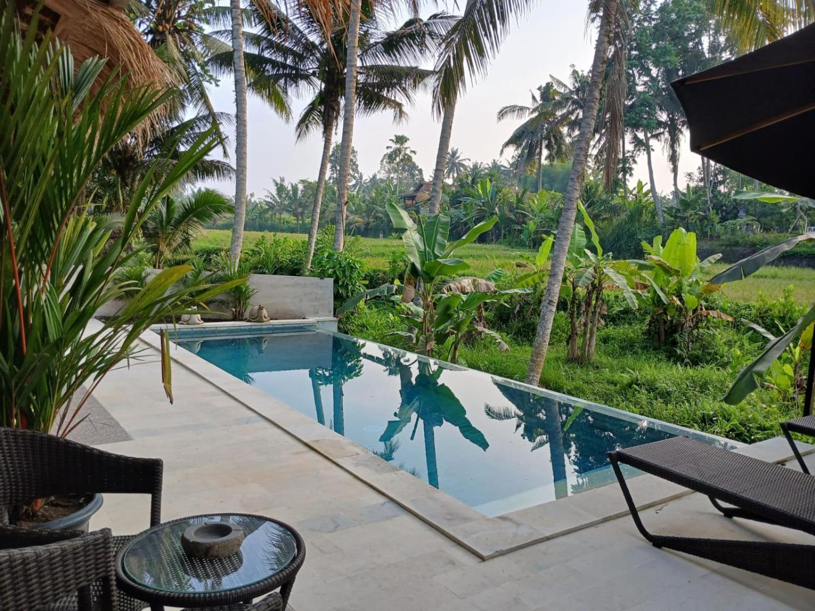 Bali View Ubud Hotel エクステリア 写真