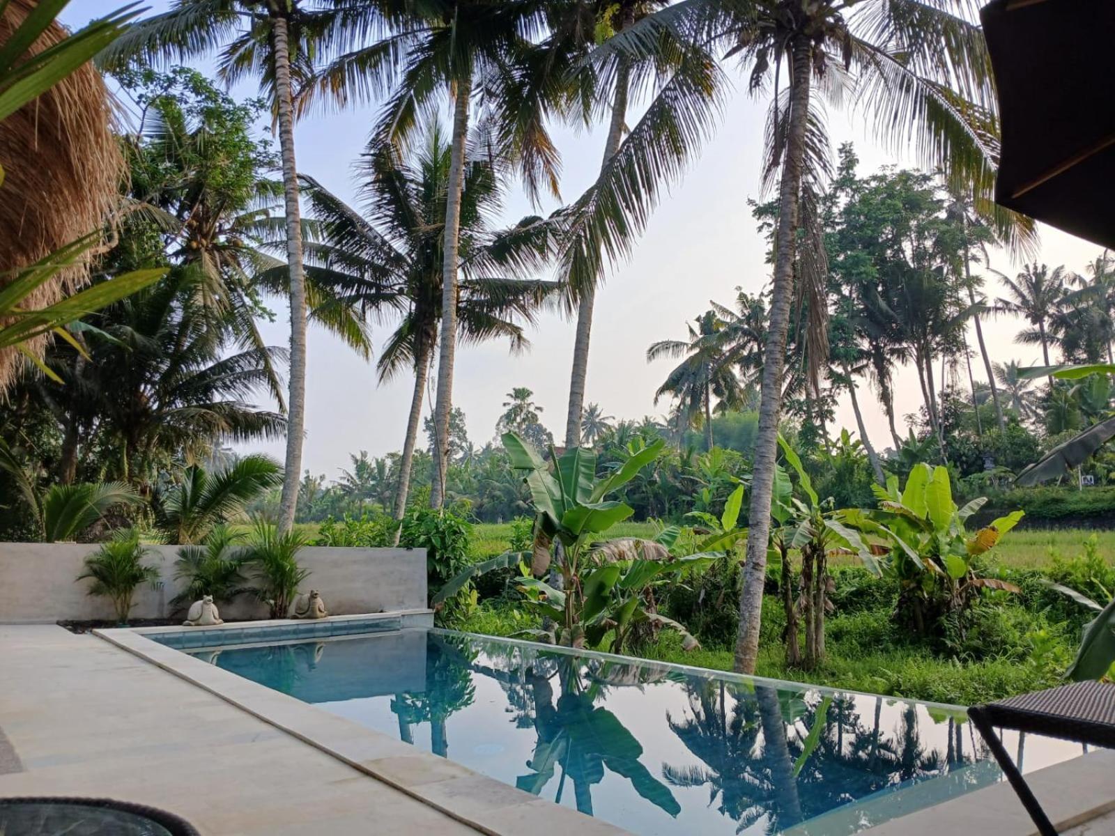 Bali View Ubud Hotel エクステリア 写真